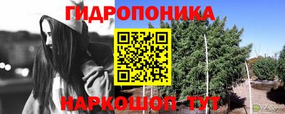 mdpv Можга