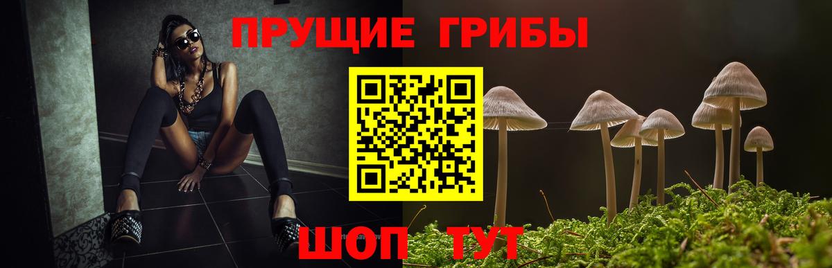 Туапсе  Псилоцибиновые грибы ЛСД  Вход с VPN 